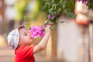 Little boy smelling flowers